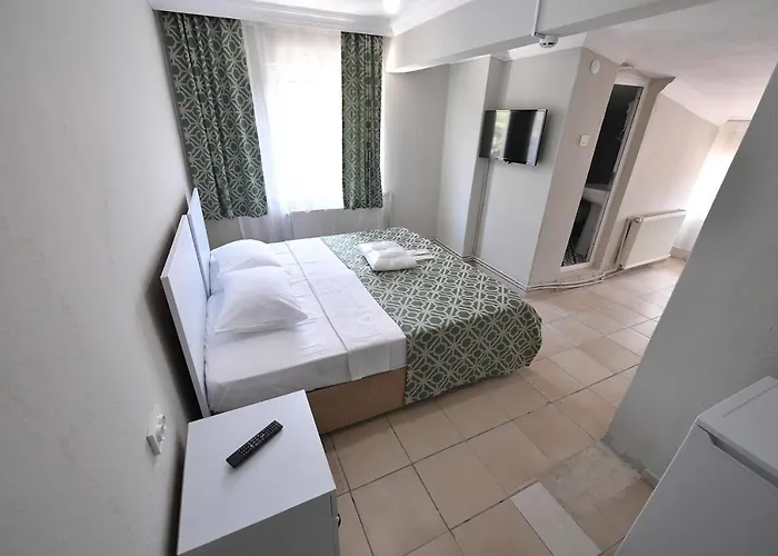 Hotels in Oren (Balikesir)