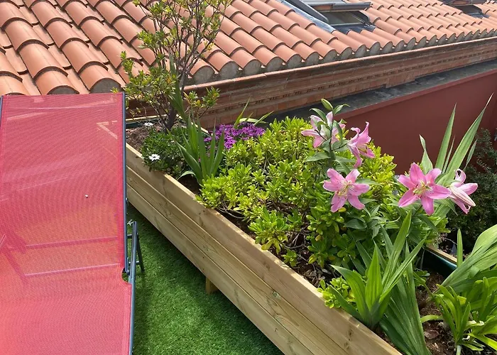 Le Patio Pere Pigne Guestroom Perpiñán