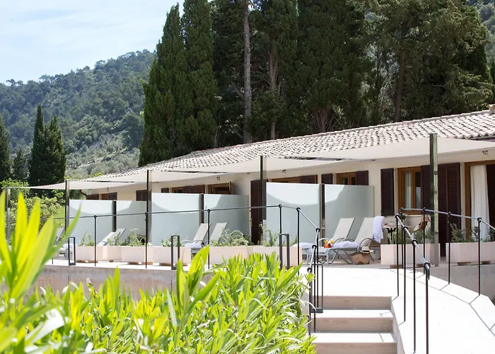 Hotels in Orient