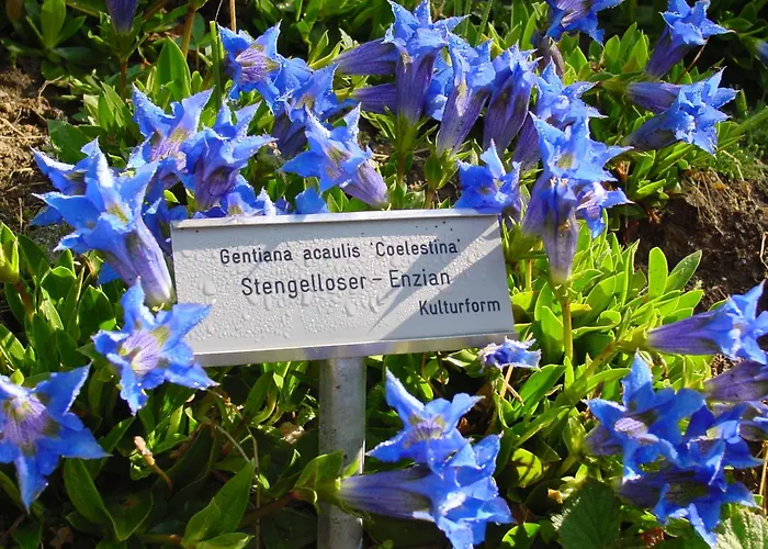 Schatzalp Hotel Davos