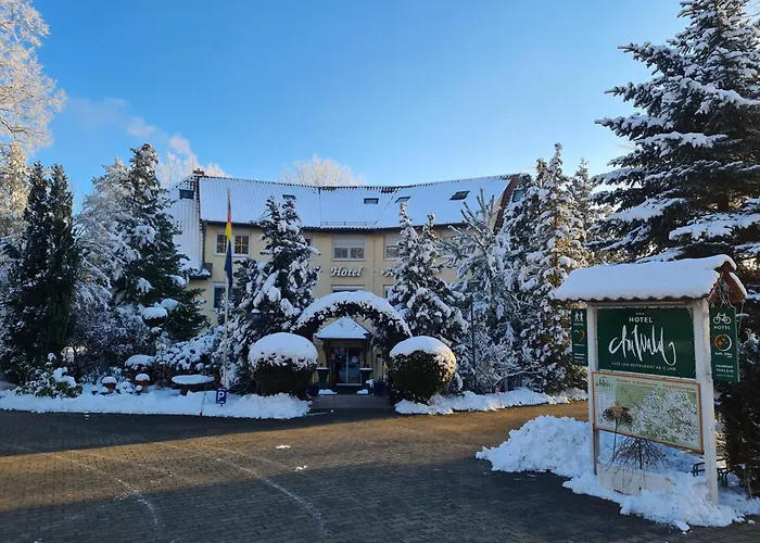 Hoteles en Michendorf