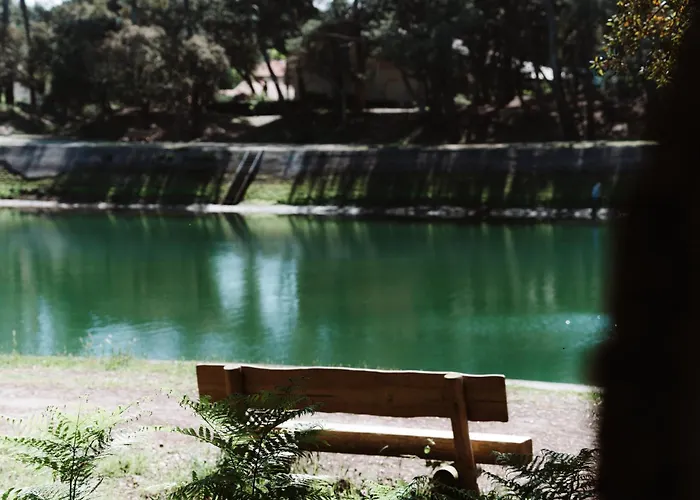 Soorts-Hossegor Hotels