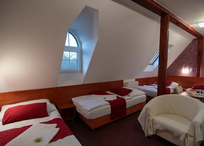 Hotels in Decin