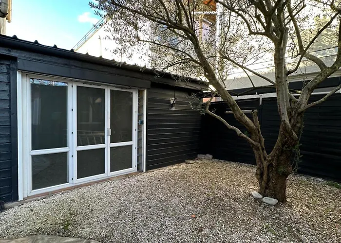 La Chambre de l'Olivier Champigny-sur-Marne