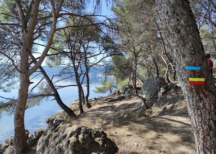 La Palmeraie Istres