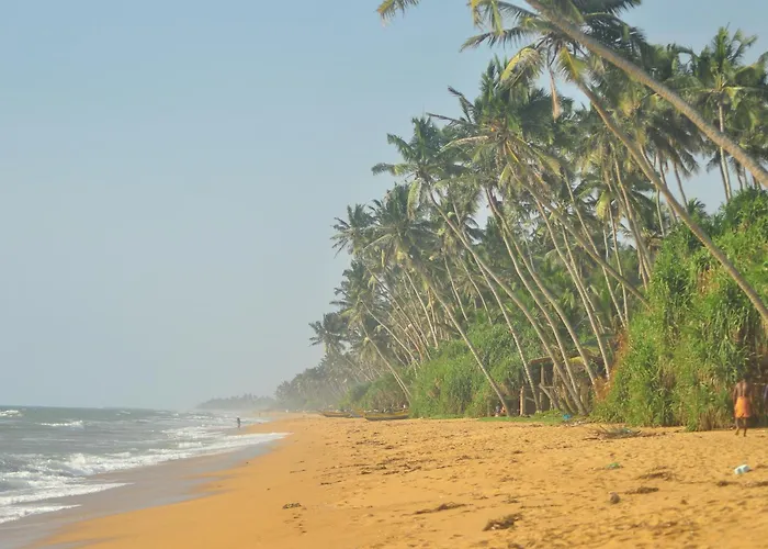 Hotels in Wadduwa