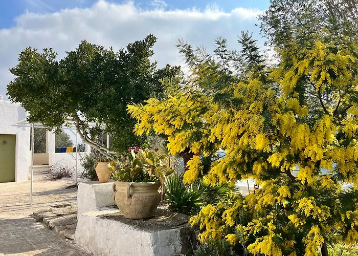 Hotel Syconium Trullo And Lamia Gea Charme And History Ostuni
