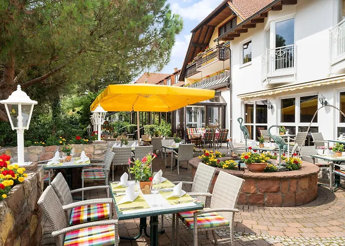 Hotels in Maikammer
