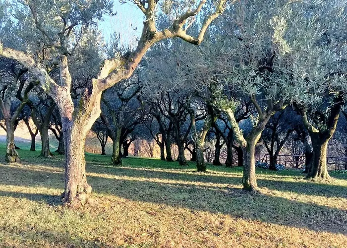 Bed and Breakfast Il giuggiolo Conegliano