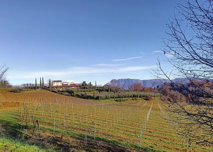 Bed and Breakfast Il giuggiolo Conegliano