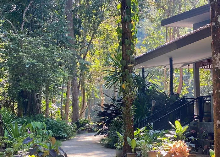 Khao Sok Nature Resort Khao Sok National Park