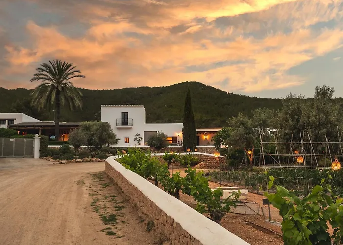 Casa Maca Hotel Ibiza-stad