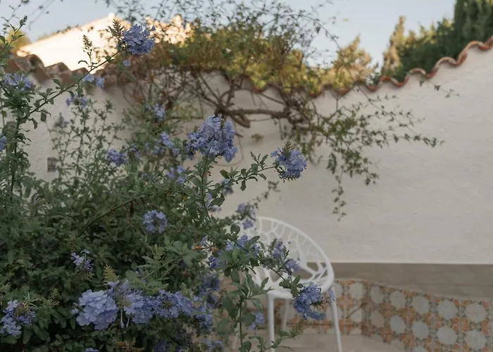 Coco - Coliving & Coworking Costa Blanca Bed and Breakfast Dénia
