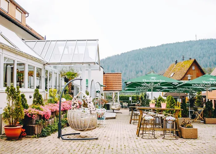 Hotels in Enzklösterle