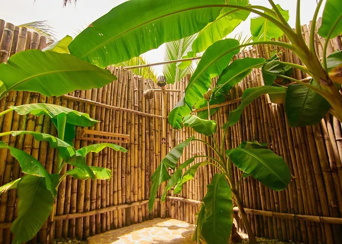 Hotels in Isla Mucura