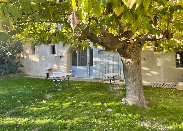 Maison Tara verte au Mas Montredon Arles