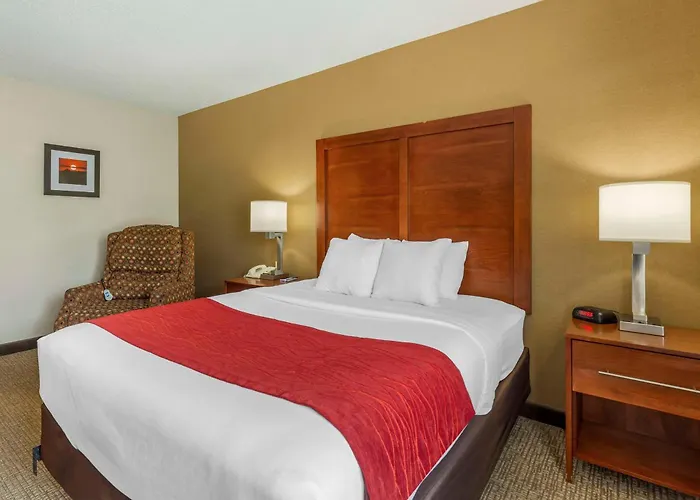 Comfort Inn & Suites Rapid City South - Mt Rushmore Gateway