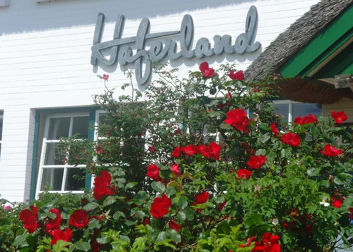 Hotels in Wieck