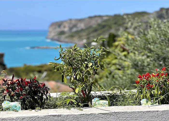 Villa Nappi Bed&Breakfast Praia a Mare