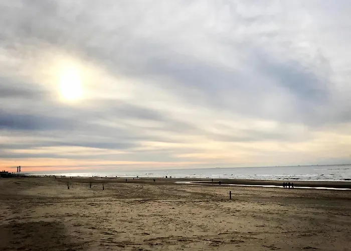 Duinzand Noordwijk