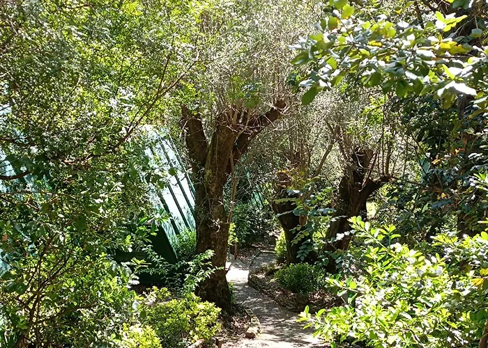 La Francesca Sud un villaggioglamping