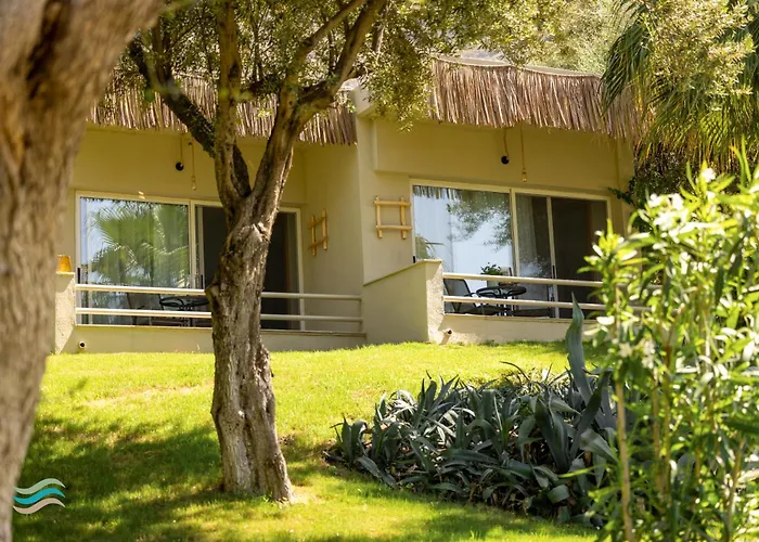 Hotels in Plataria