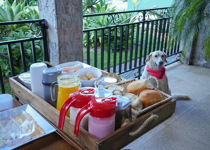 Villa Ayê Socorro SP - Pousada Petfriendly