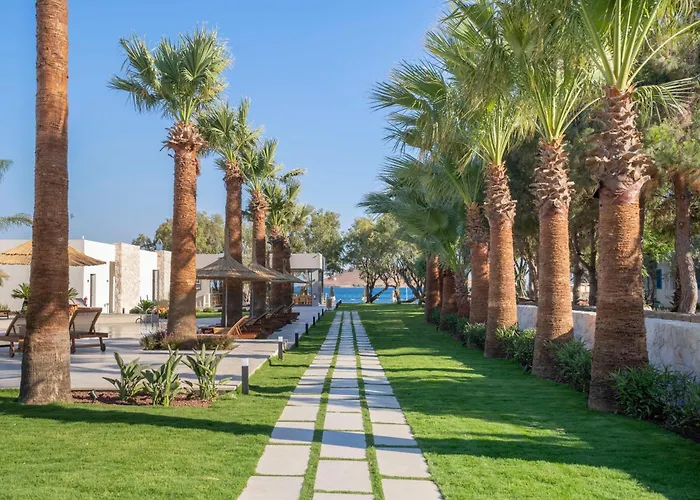 Hotels in Ortakentyahşi