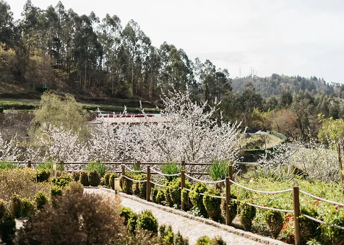 Quinta Do Bento Hotel Vieira do Minho