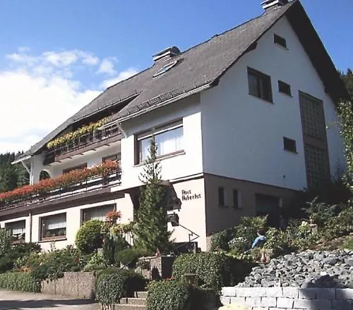 Haus Hubertus Hotel Winterberg