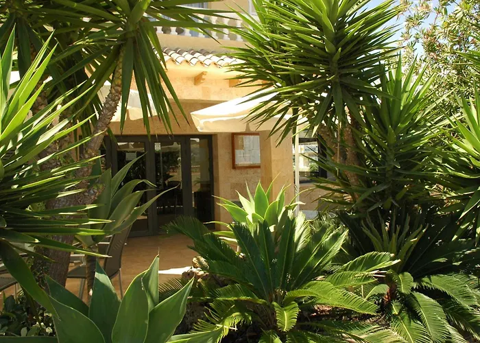 Hotels in El Albir