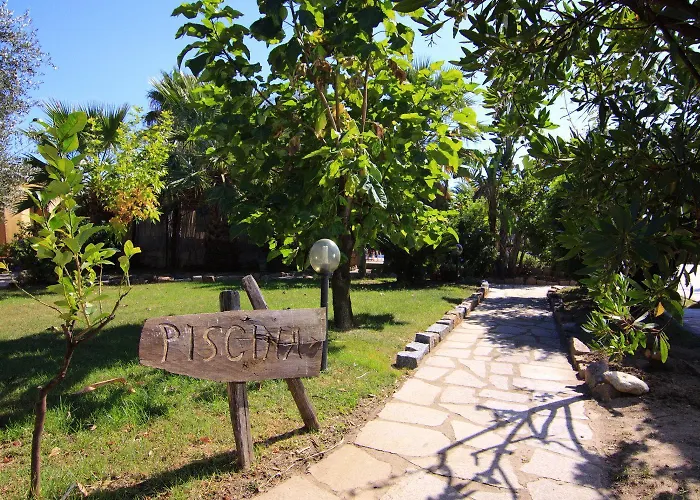 Hotel L'Ulivo Girasole