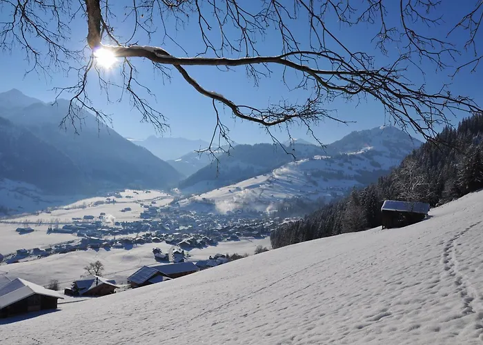 Hotels in Zweisimmen