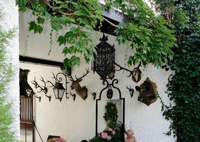 Hôtellerie Du Bas-Bréau Barbizon