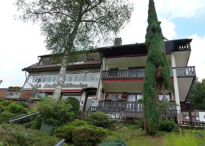 Waldschloesschen Hotel Bad Herrenalb
