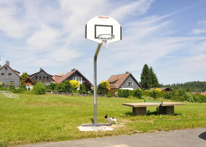 Hotels in Altenau (Lower-Saxony)