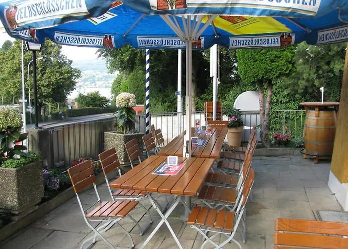 Horgen Hotels