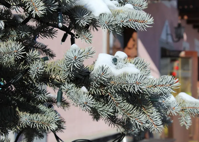 Hotel Garni Oasi Livigno