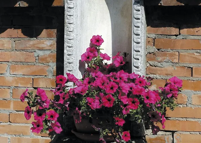 Hotel Castello Modena