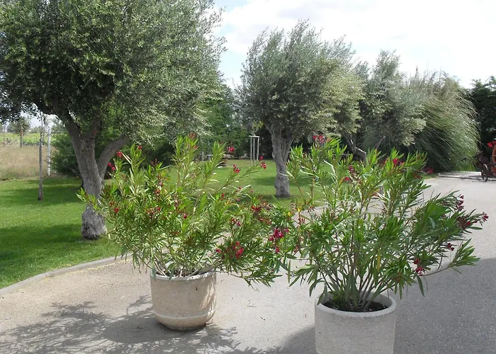 Terras De Monsaraz Hotel Reguengos de Monsaraz
