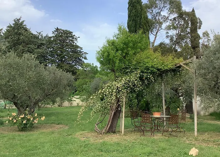 Le Mas des Oliviers Martigues