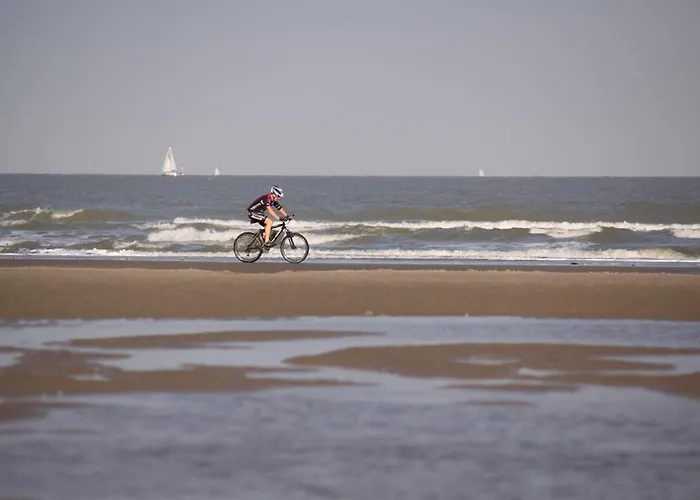 Hotels in De Haan