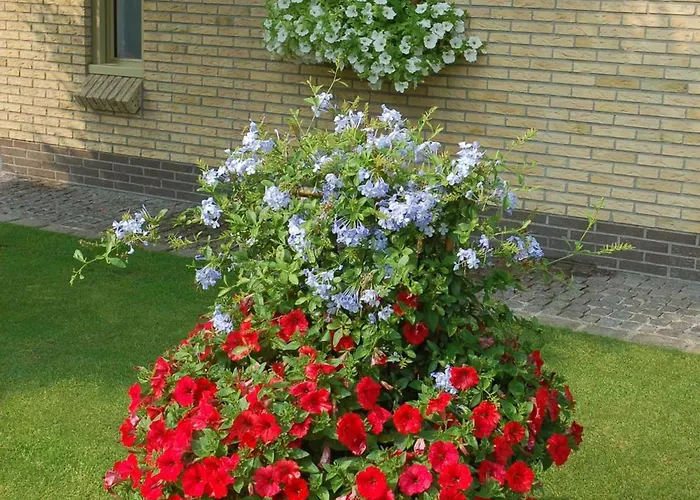 B&B Bloemenweelde