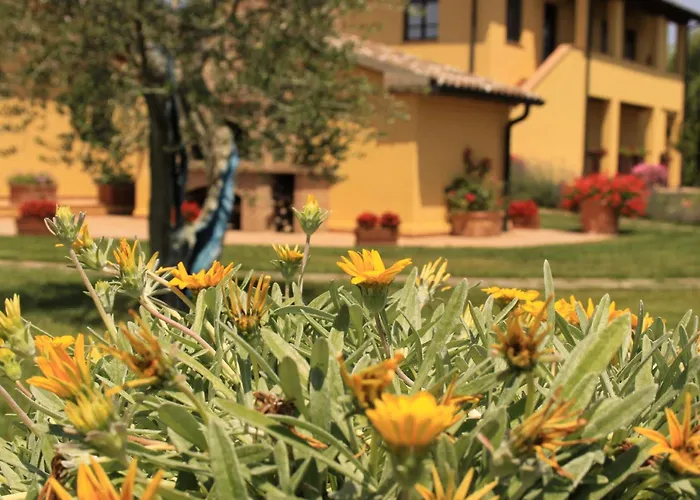Podere Tre Cipressi Aparthotel Campiglia Marittima
