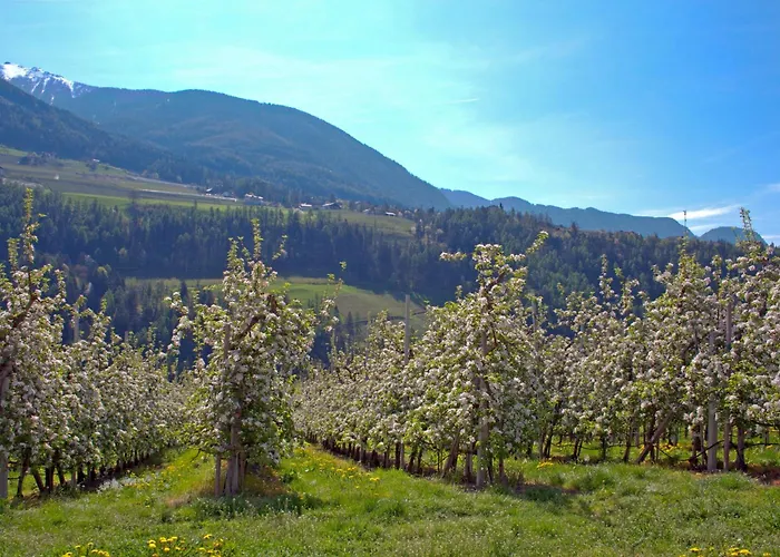 Pension Thalerhof Rifiano