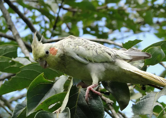 Pousada Romântica Serra da Mata