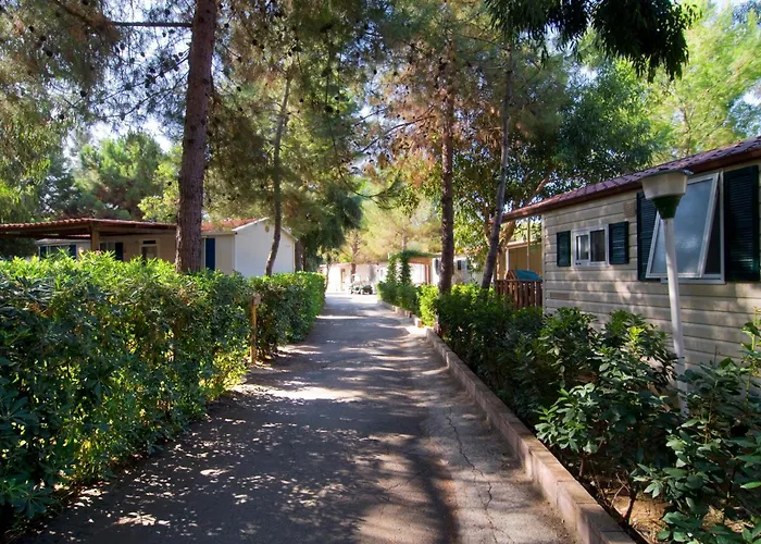 Villaggio Camping Odissea Marina di Camerota