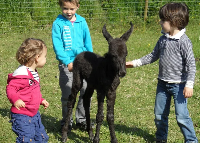 Les Pieds dans l'Herbe Rosporden