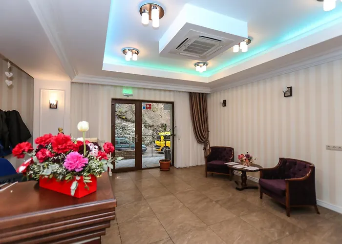 Hoteles en Băile Herculane