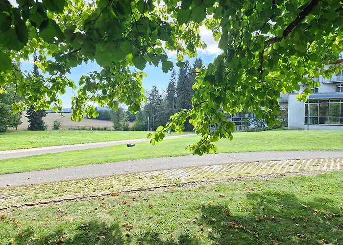 Hotels in Falkenstein (Vogtland)